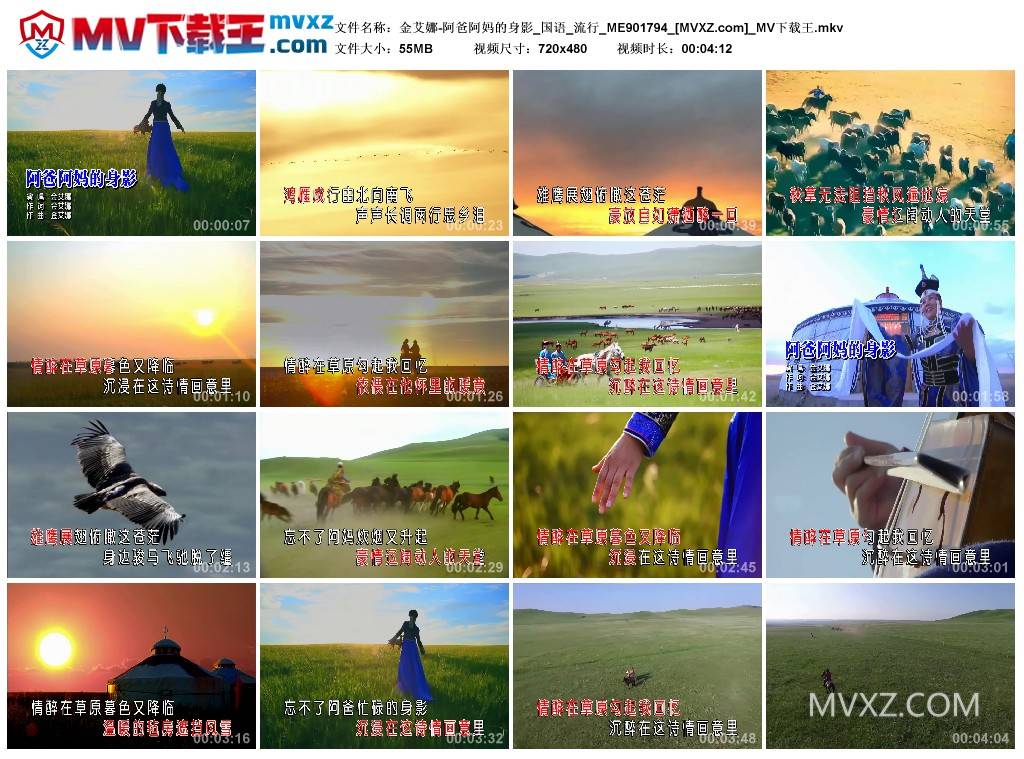 金艾娜-阿爸阿妈的身影_国语_流行_ME901794